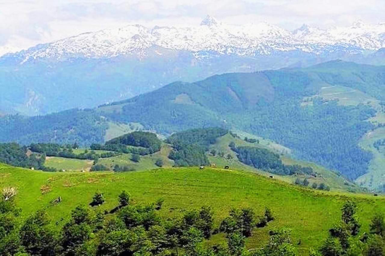 Maison " Elixondoa " Pagolle Dış mekan fotoğraf
